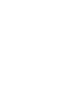 Lifeguard Stand icon